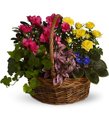 Blooming Garden Basket from Brennan's Florist and Fine Gifts in Jersey City